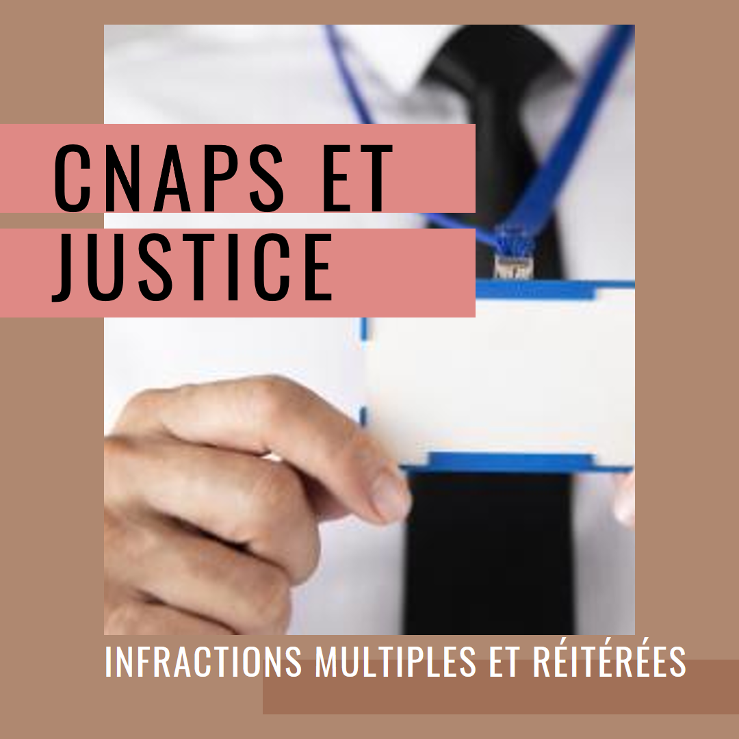 CNAPS et Justice : L'influence des antécédents, même anciens, sur la carrière en Sécurité Privée image de l'article
