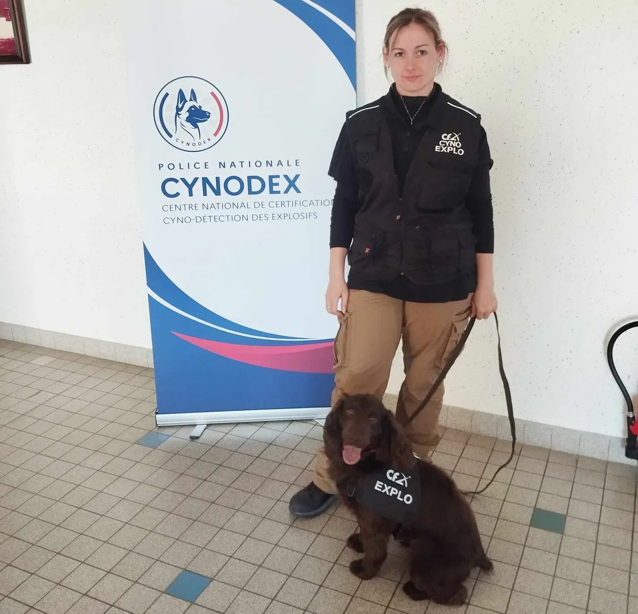 🐾 Aline et Taïko : portrait d’un binôme d’élite en détection d’explosifs